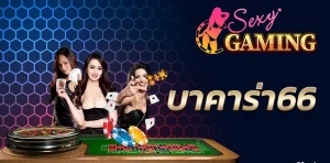 เช็กชี่บาคาร่า66